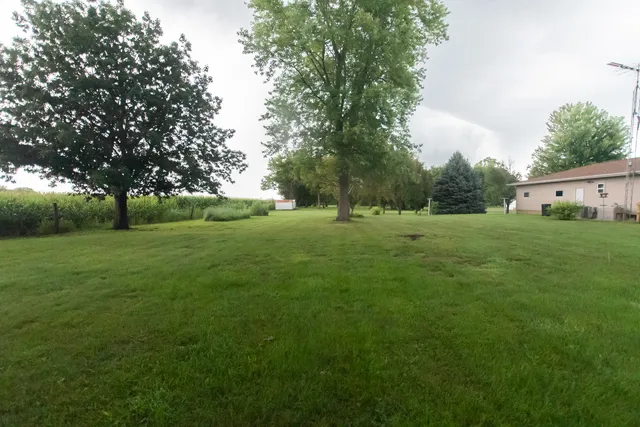 a view of a grassy field with trees