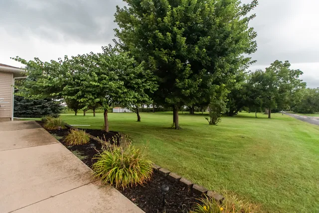 a view of a park with tree s