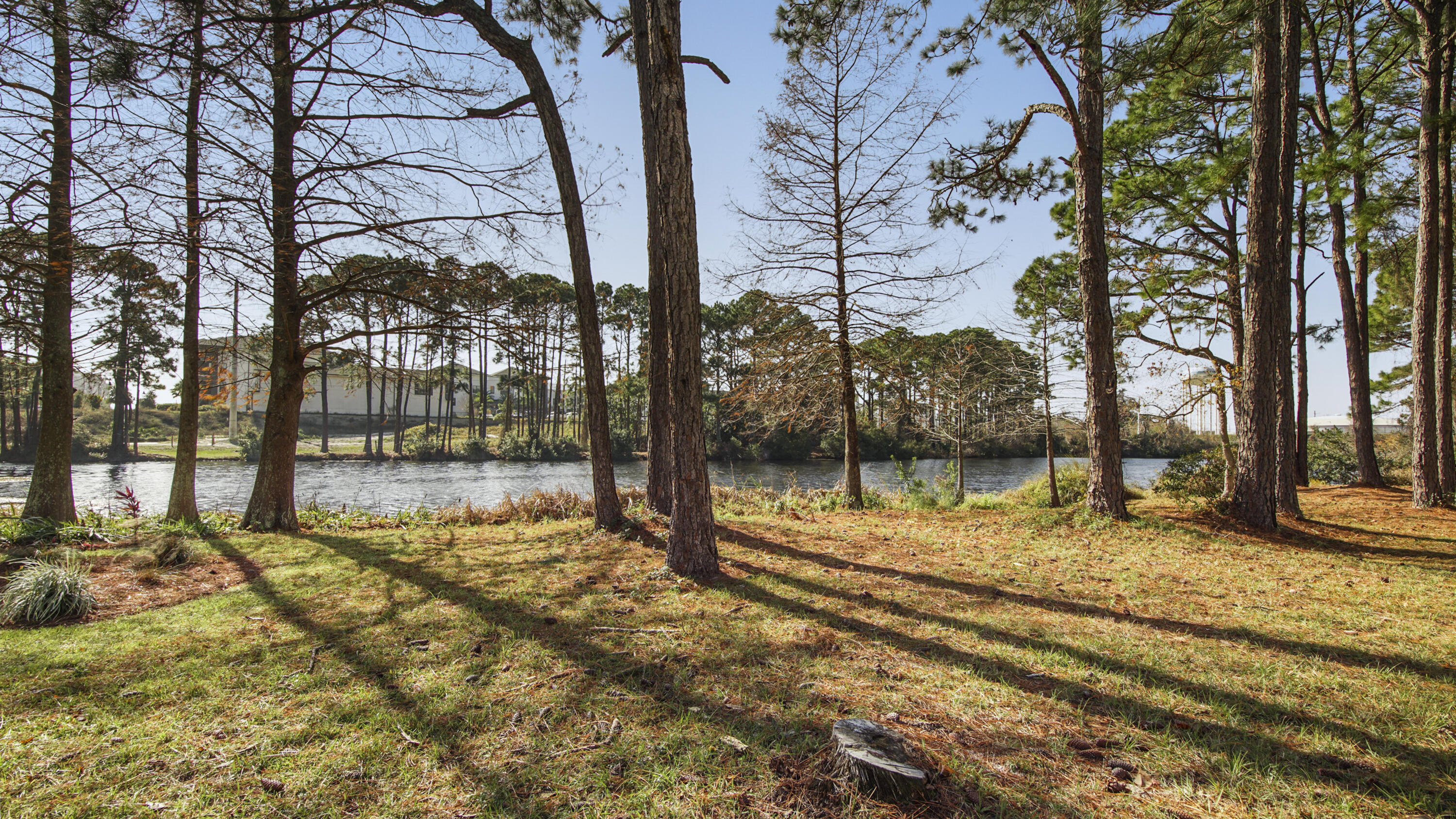 302 Liriope Loop Destin, FL 32541 - Photo 53 of 59 a view of a yard with plants and trees