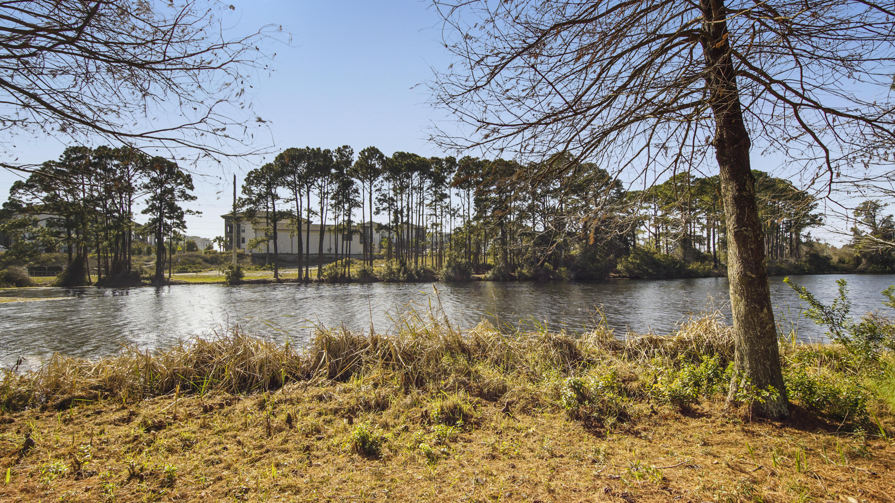 302 Liriope Loop Destin, FL 32541 - Photo 55 of 59 DSC06528