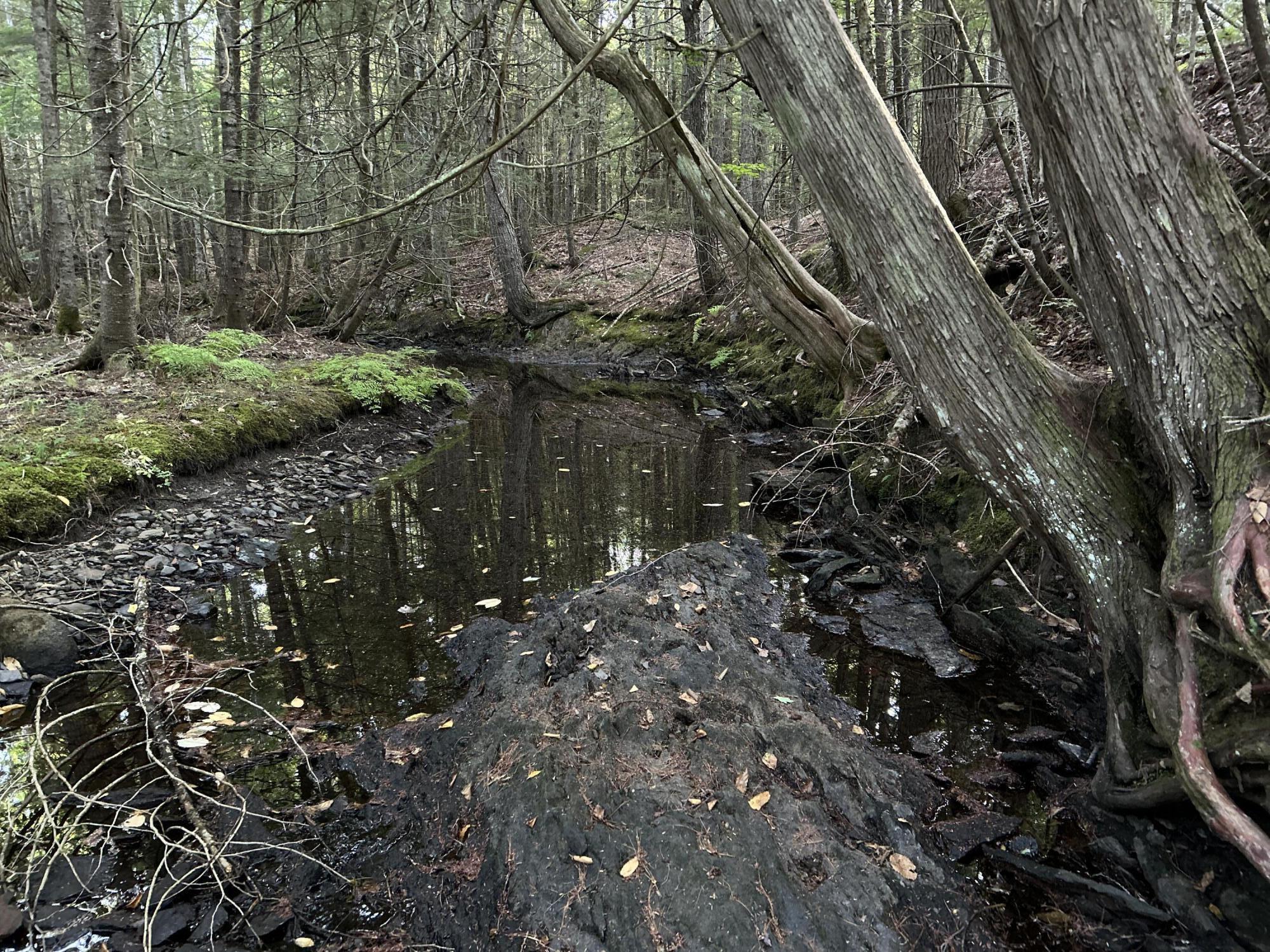 M4-l14 Village Road Jackson, ME 04921 - Photo 33 of 37