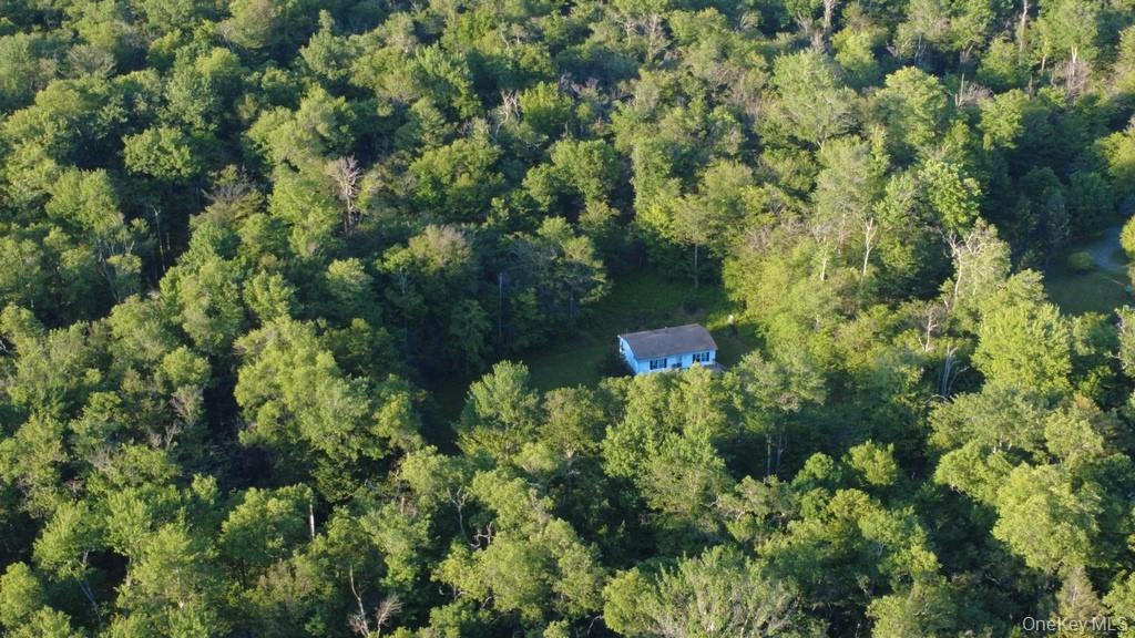 52 Log Road Parksville, NY 12768 - Photo 30 of 31