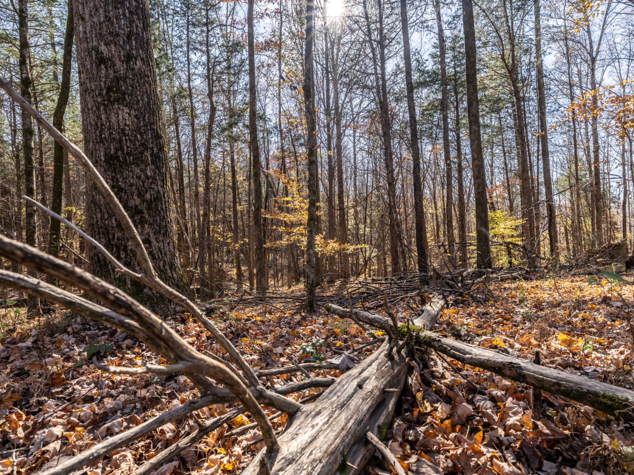 0 Adcock Road Ashland City, TN 37015 - Photo 16 of 18
