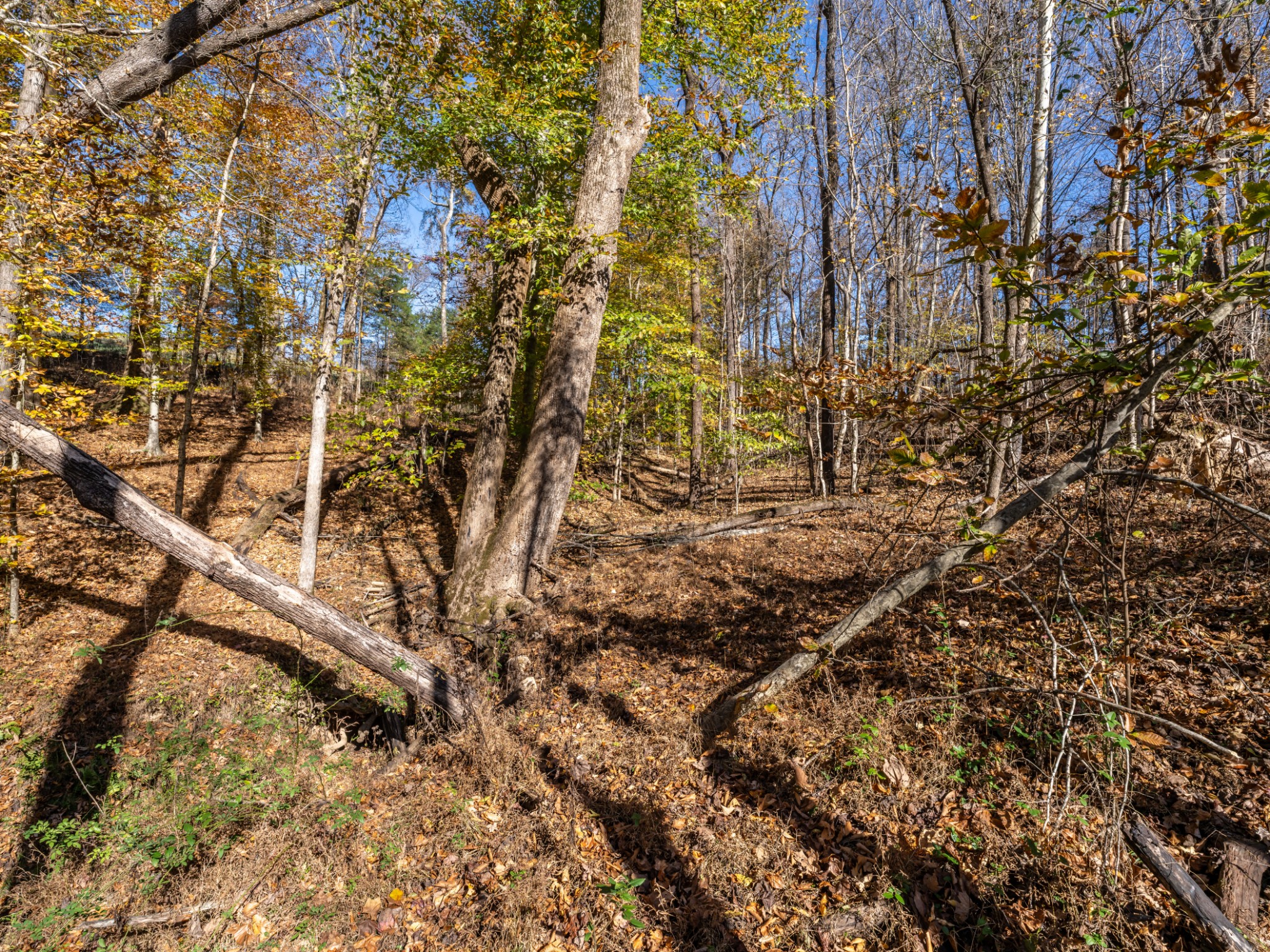 0 Adcock Road Ashland City, TN 37015 - Photo 18 of 18