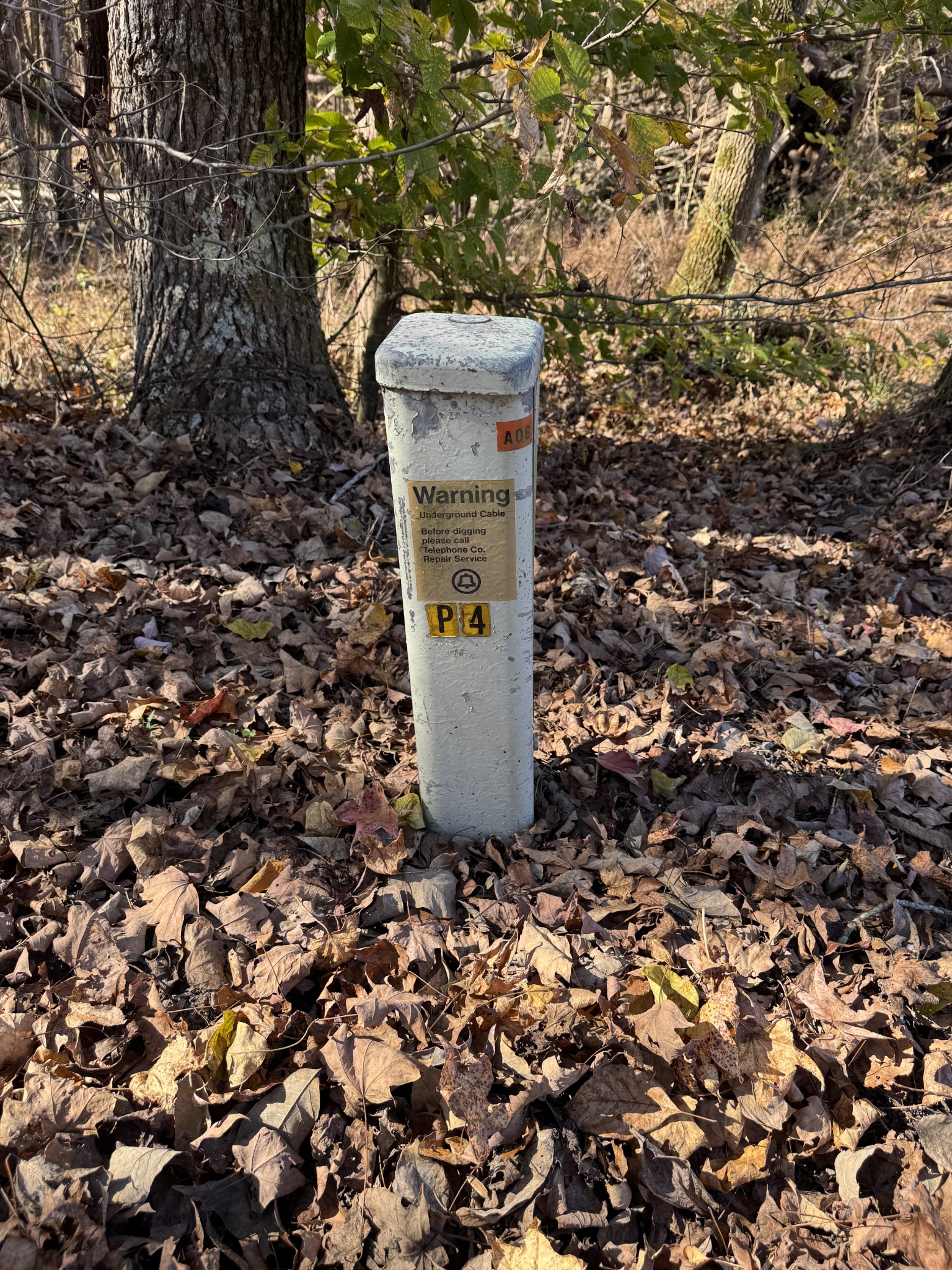 0 Adcock Road Ashland City, TN 37015 - Photo 6 of 18