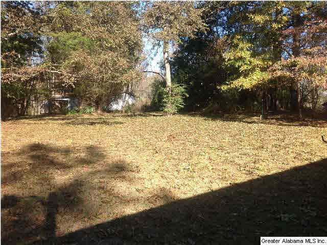 5399 Hollis Goodwin Road Dora, AL 35062 - Photo 10 of 13