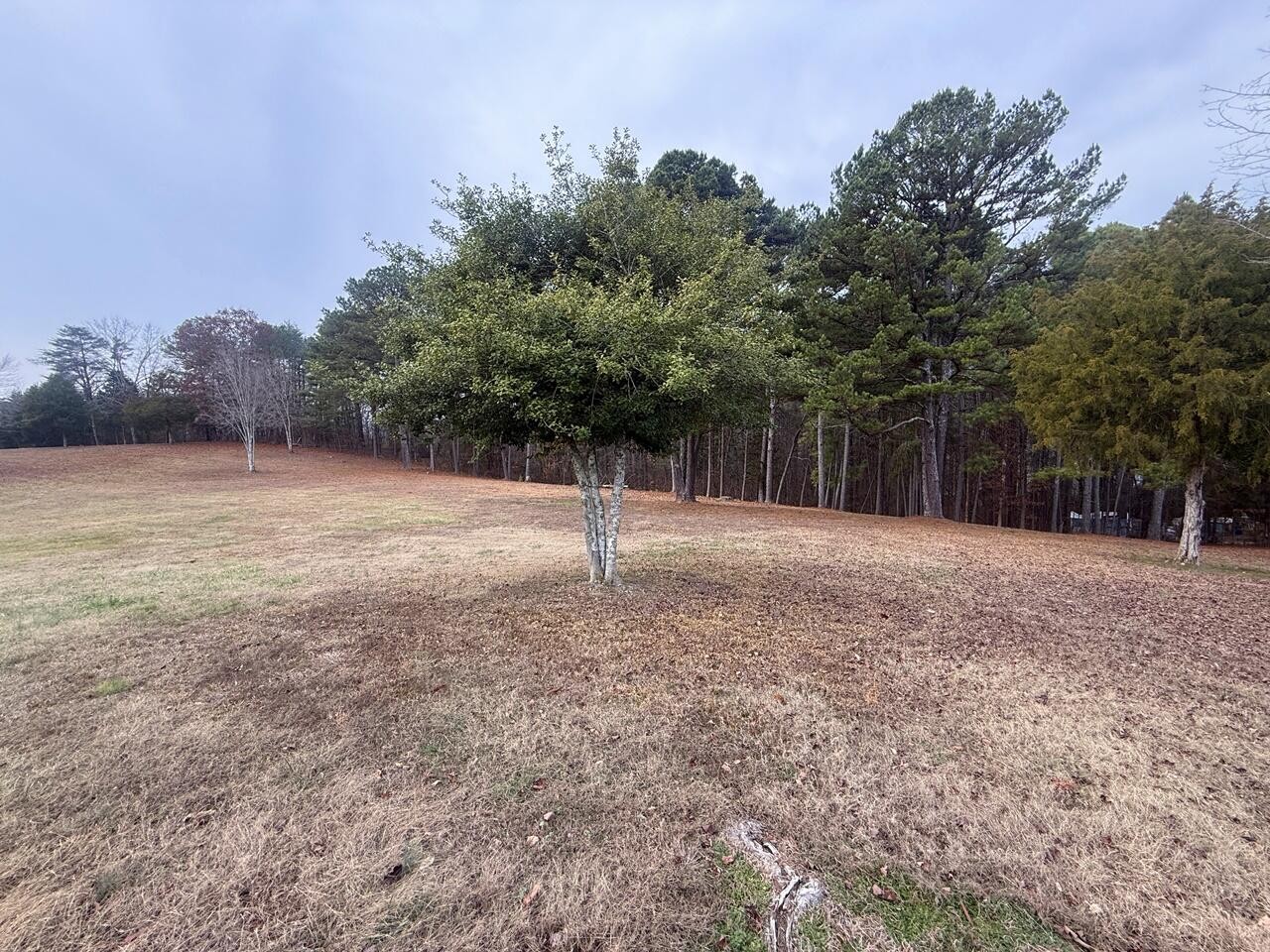 1929 Smyrna Road Dayton, TN 37321 - Photo 39 of 39 Gallery Image 39