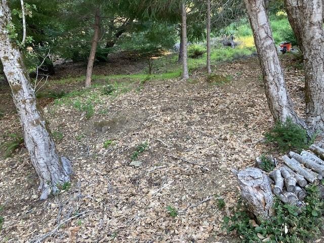 10 Gale Point Whitethorn, CA 95589 - Photo 11 of 20 flats
