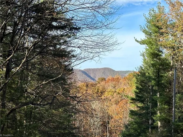 $29,950 | Tbd Courtland Lane, Lowgap, NC 27024