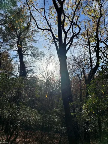 $29,950 | Tbd Courtland Lane, Lowgap, NC 27024