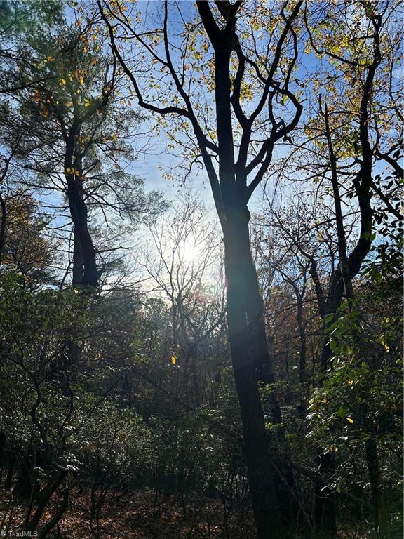 Tbd Courtland Lane Lowgap, NC 27024 - Photo 11 of 30