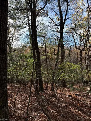 $29,950 | Tbd Courtland Lane, Lowgap, NC 27024