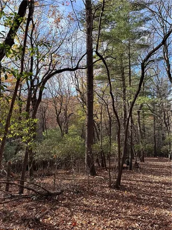 $29,950 | Tbd Courtland Lane, Lowgap, NC 27024