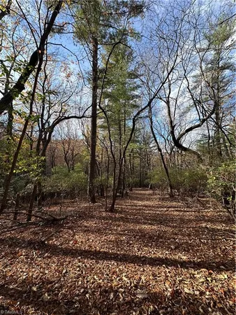 $29,950 | Tbd Courtland Lane, Lowgap, NC 27024