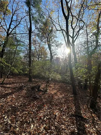 $29,950 | Tbd Courtland Lane, Lowgap, NC 27024
