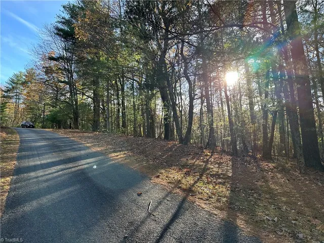 $29,950 | Tbd Courtland Lane, Lowgap, NC 27024