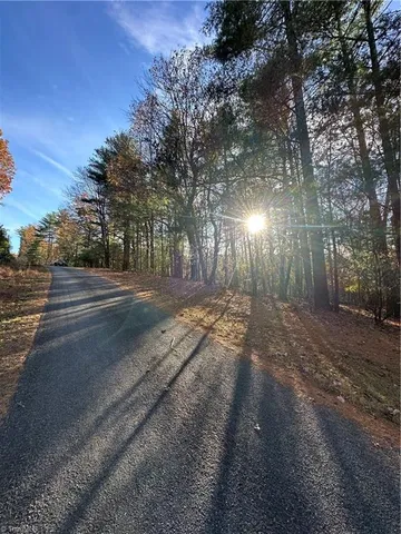 $29,950 | Tbd Courtland Lane, Lowgap, NC 27024