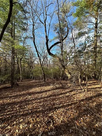 $29,950 | Tbd Courtland Lane, Lowgap, NC 27024