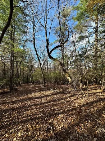 $29,950 | Tbd Courtland Lane, Lowgap, NC 27024