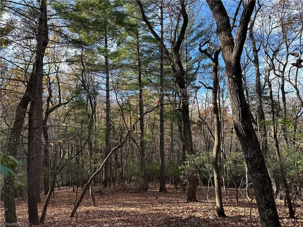 $29,950 | Tbd Courtland Lane, Lowgap, NC 27024