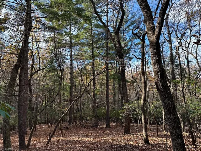 $29,950 | Tbd Courtland Lane, Lowgap, NC 27024