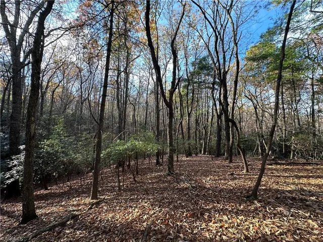 $29,950 | Tbd Courtland Lane, Lowgap, NC 27024