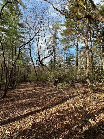 $29,950 | Tbd Courtland Lane, Lowgap, NC 27024