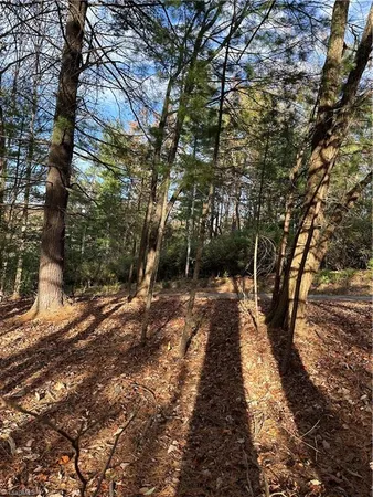 $29,950 | Tbd Courtland Lane, Lowgap, NC 27024