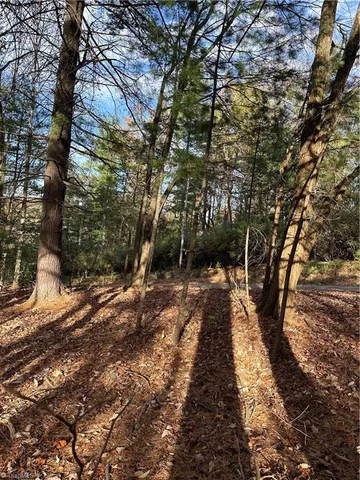 $29,950 | Tbd Courtland Lane, Lowgap, NC 27024