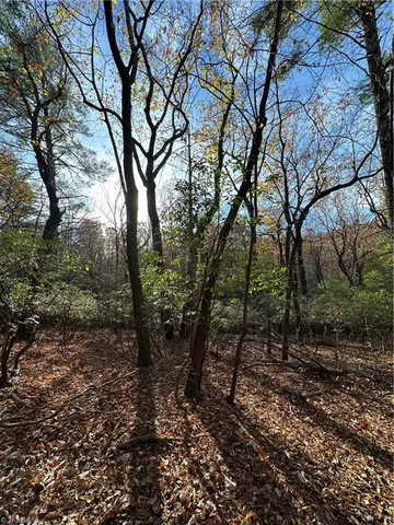 $29,950 | Tbd Courtland Lane, Lowgap, NC 27024