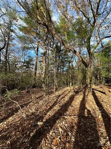 $29,950 | Tbd Courtland Lane, Lowgap, NC 27024
