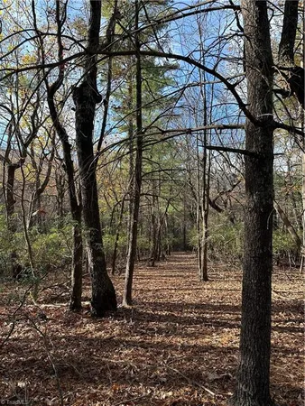 $29,950 | Tbd Courtland Lane, Lowgap, NC 27024