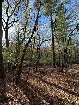 $29,950 | Tbd Courtland Lane, Lowgap, NC 27024