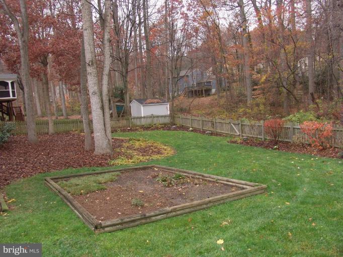 Back yard