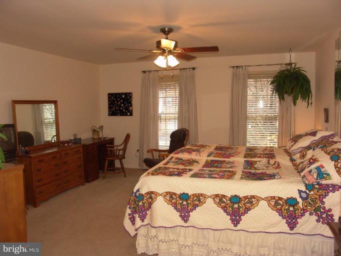 9836 Natick Road Burke, VA 22015 - Photo 17 of 30 Master Bedroom #2