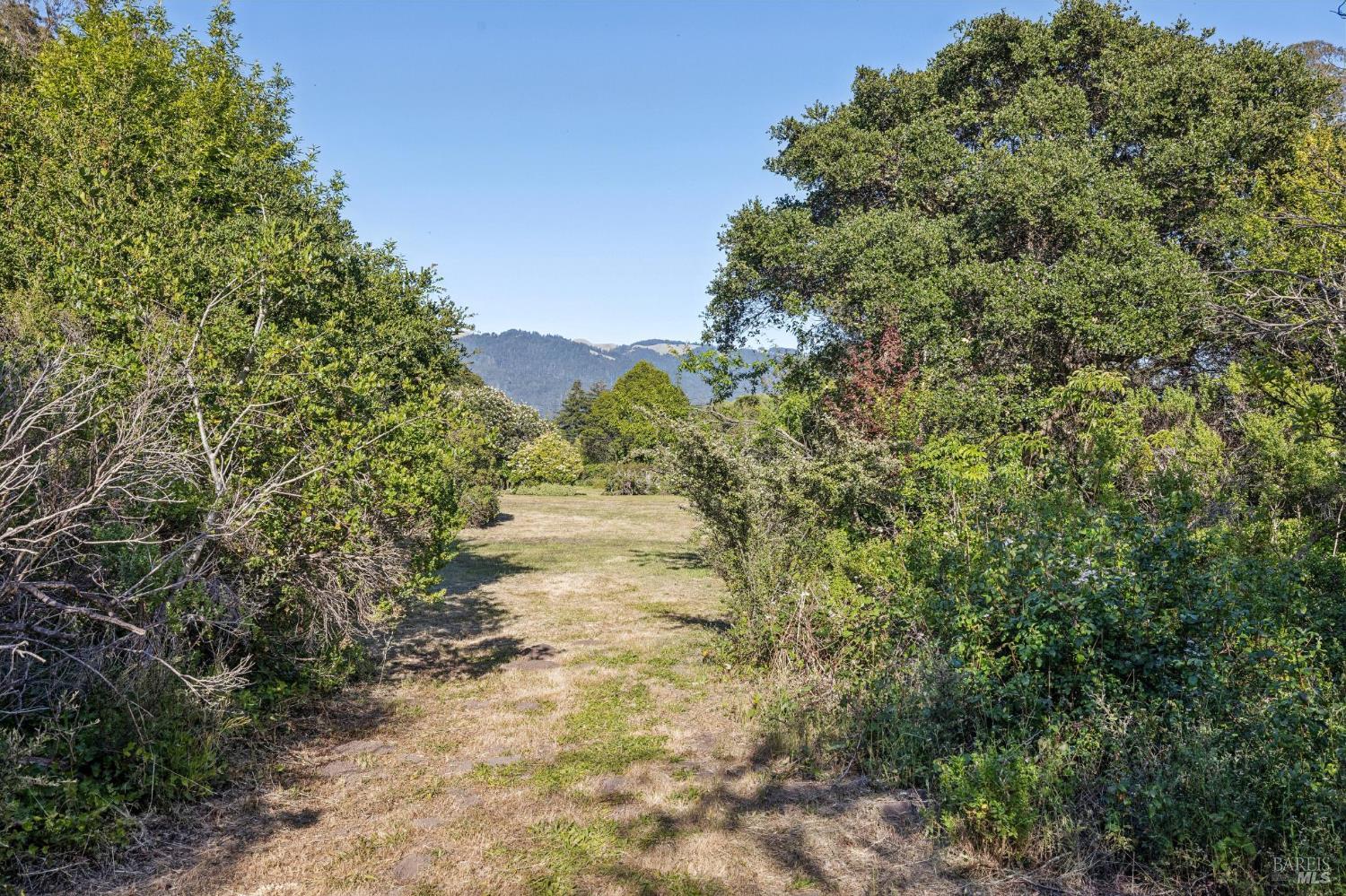 5 Lauff Ranch Road Bolinas, CA 94924 - Photo 77 of 92