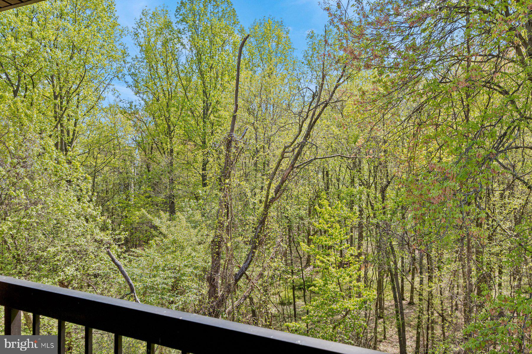 15714 Dorset Road, Unit 303 Laurel, MD 20707 - Photo 13 of 27 Balcony View