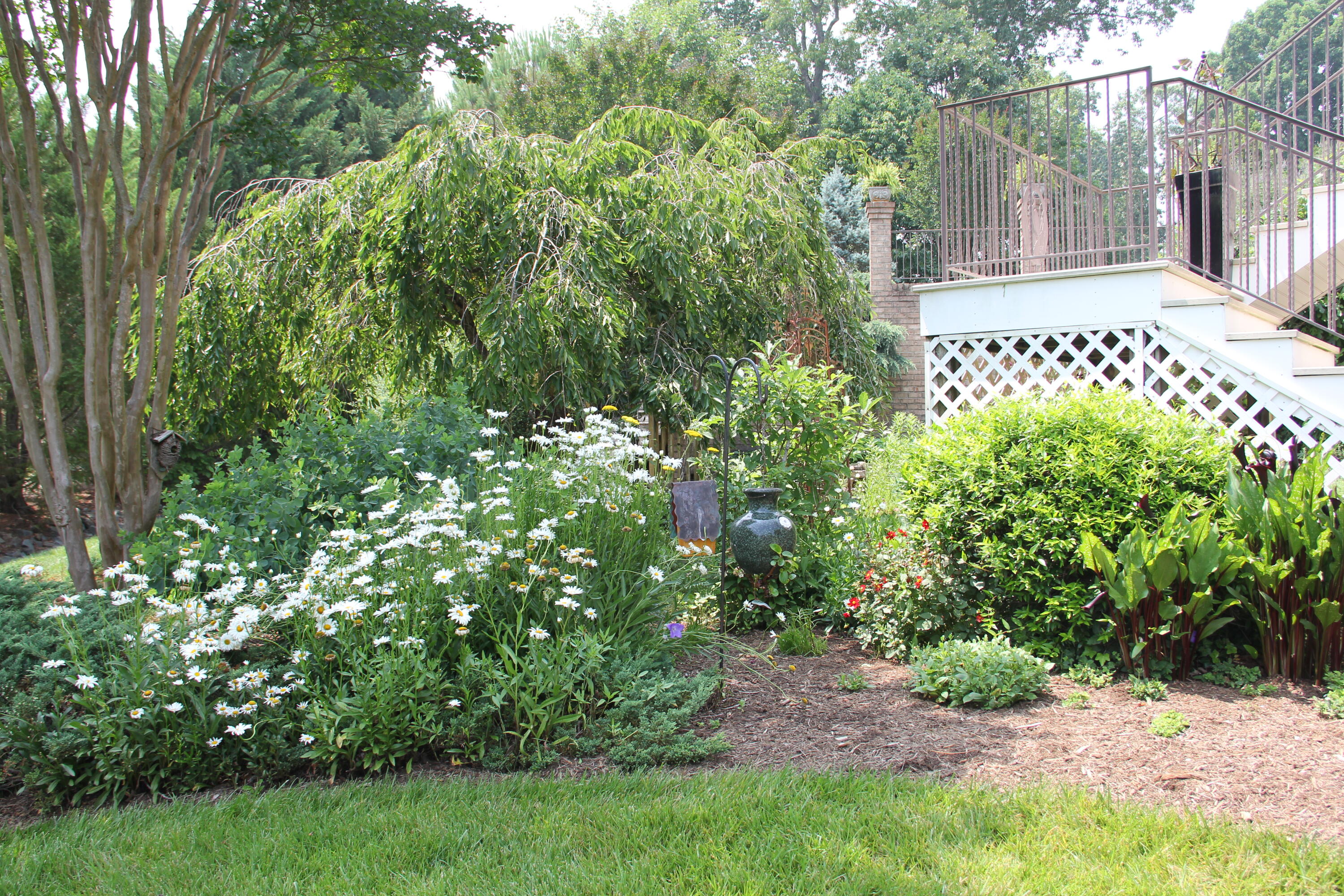 470 Calypso Road Moneta, VA 24121 - Photo 85 of 111 Mature Landscaping