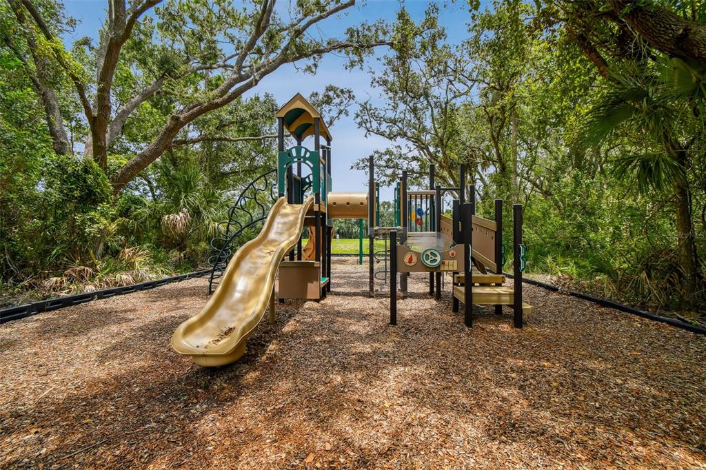 8821 North River Road Tampa, FL 33635 - Photo 52 of 61