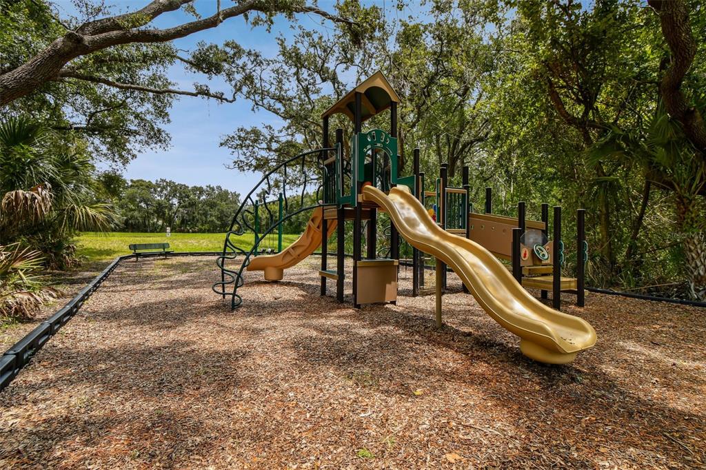 8821 North River Road Tampa, FL 33635 - Photo 53 of 63