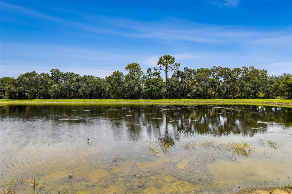 8821 North River Road Tampa, FL 33635 - Photo 54 of 61