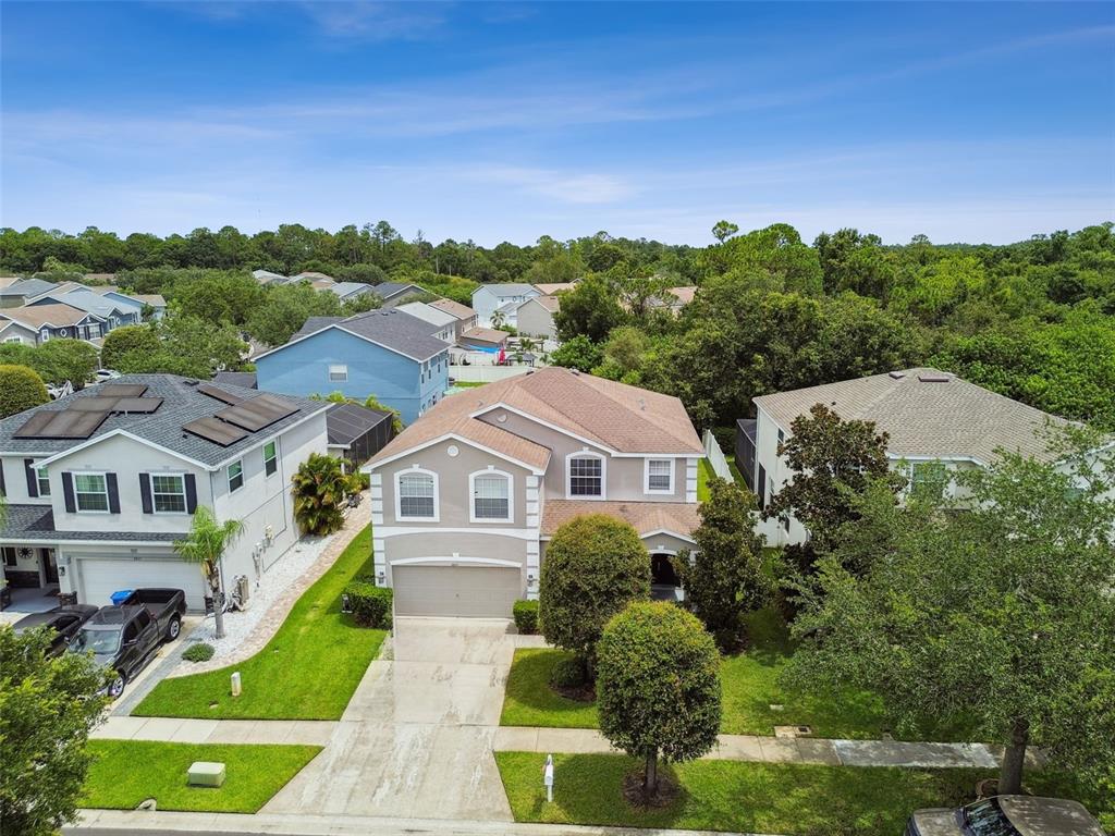 8821 North River Road Tampa, FL 33635 - Photo 56 of 61