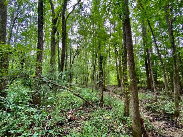 0 Ratliff Road, Unit LOT 11 CHAPEL CLIFF VILLAGE Raymond, MS 39154 - Photo 8 of 10 Photo 8