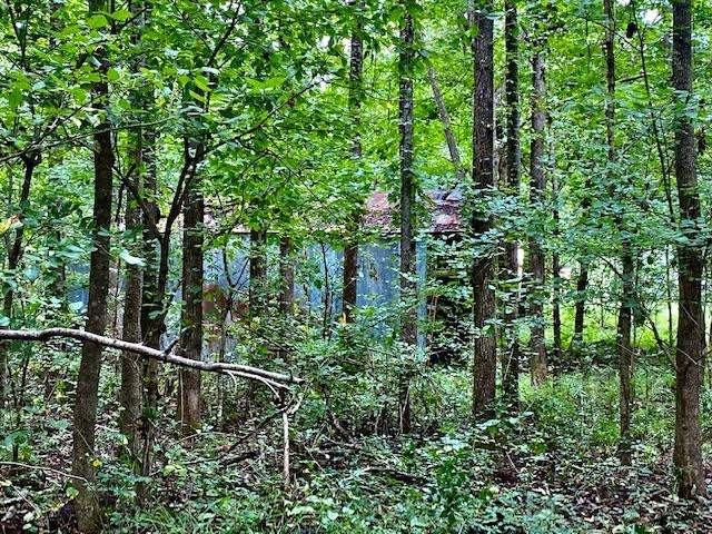 0 Ratliff Road, Unit LOT 11 CHAPEL CLIFF VILLAGE Raymond, MS 39154 - Photo 9 of 10 Photo 9