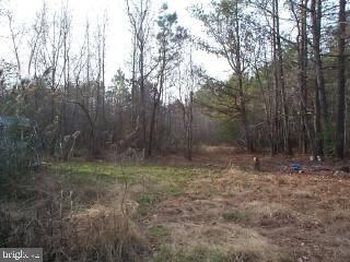 4030 Back Shelltown Road Marion Station, MD 21838 - Photo 2 of 2 a view of outdoor space and yard