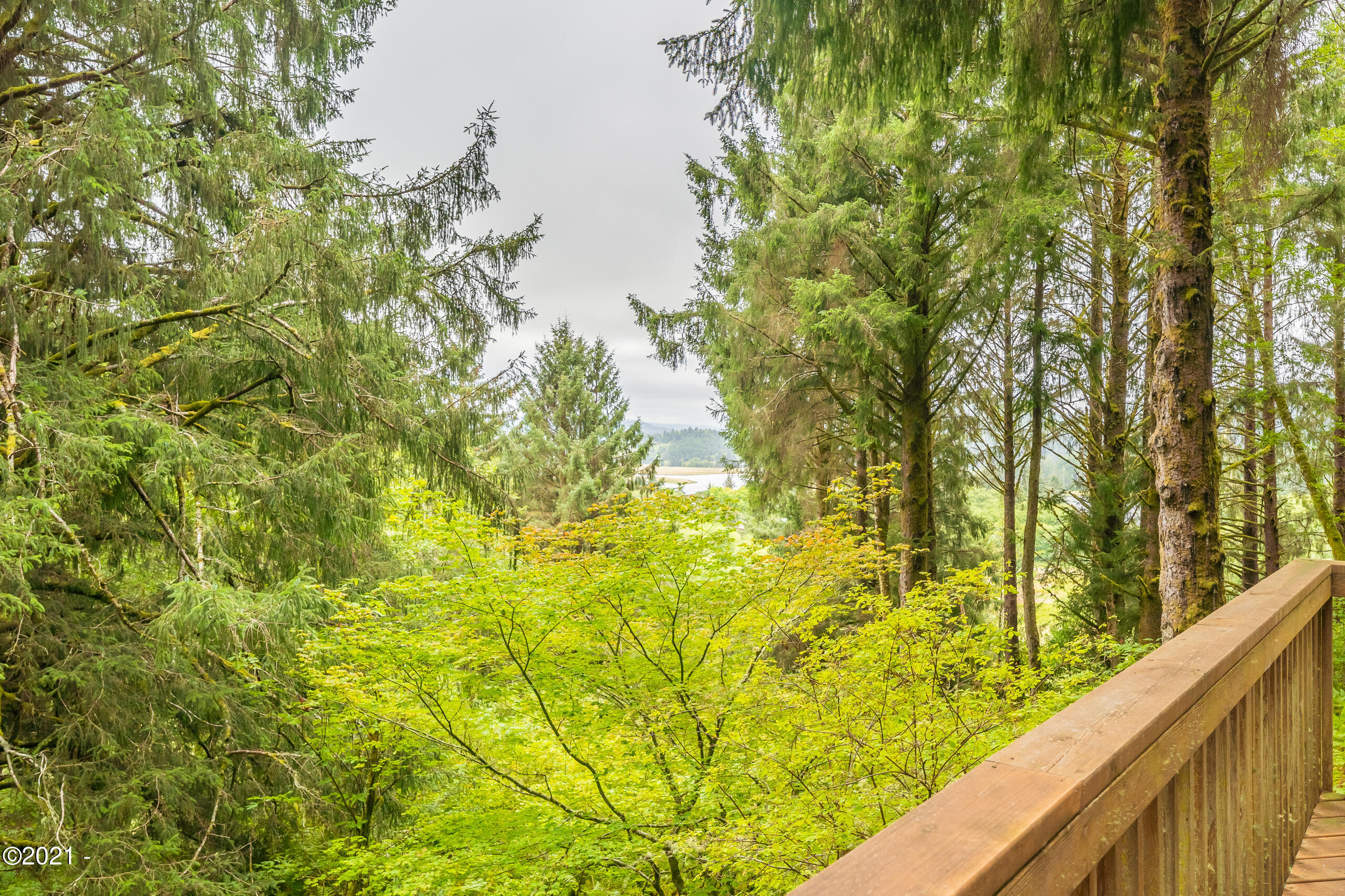 3670 Ridge Road Otis, OR 97368 - Photo 7 of 20 Home in the Woods :)