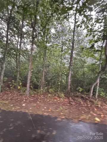 a view of outdoor space and trees