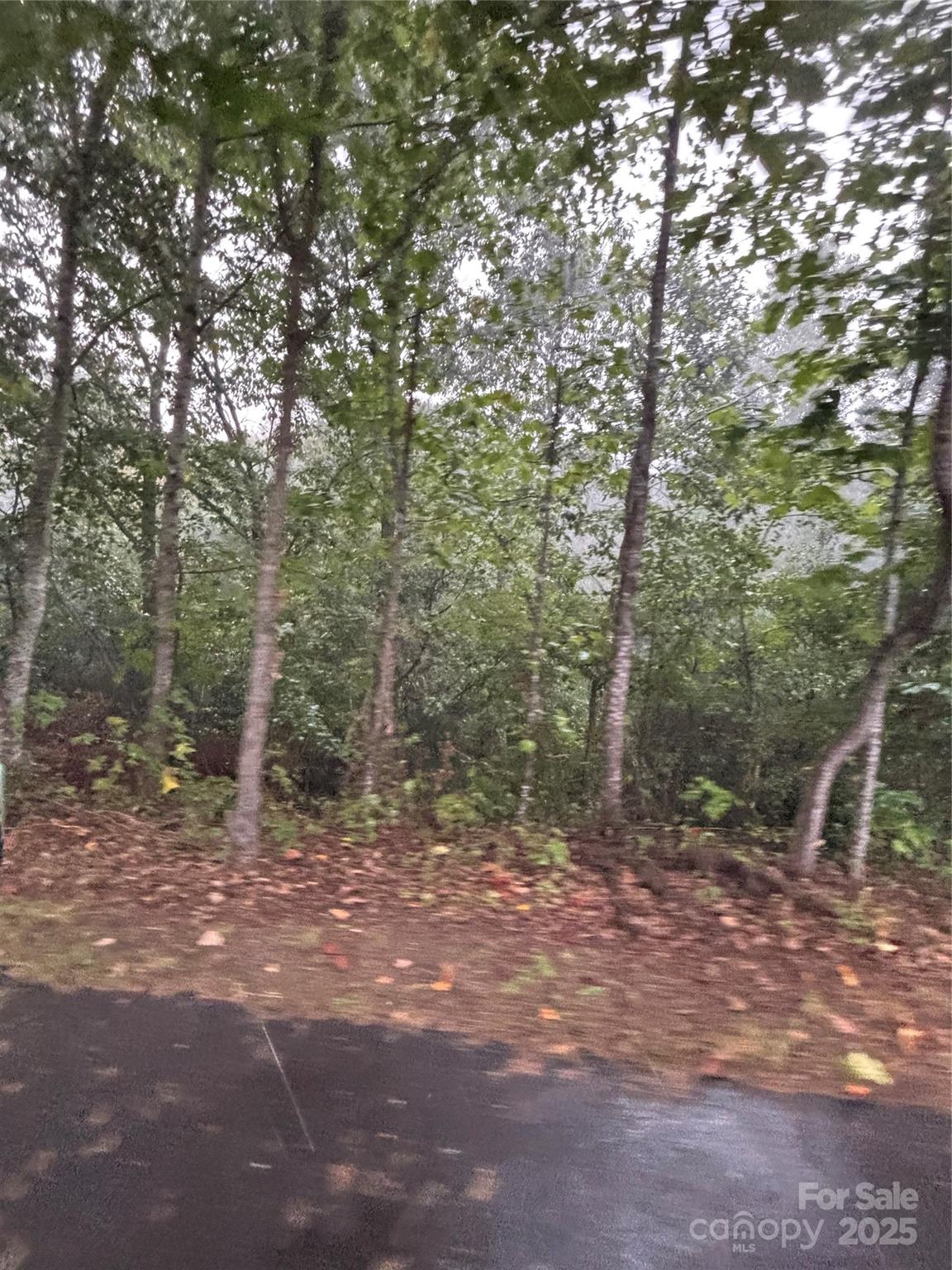 6468 Ridgeview Circle Granite Falls, NC 28630 - Photo 2 of 2 a view of outdoor space and trees