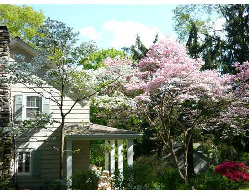 121 Compo Road North Westport, CT 06880 - Photo 3 of 20 a backyard of a house with lots of green space
