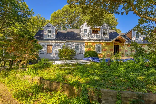 a view of a yard with plants and large trees